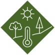 Experimentierfeld 2: Klimaangepasste Bäume