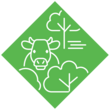 Experimentierfeld 4: WieseAckerTierGehölz