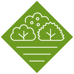 Experimentierfeld 3: Heckenwelt