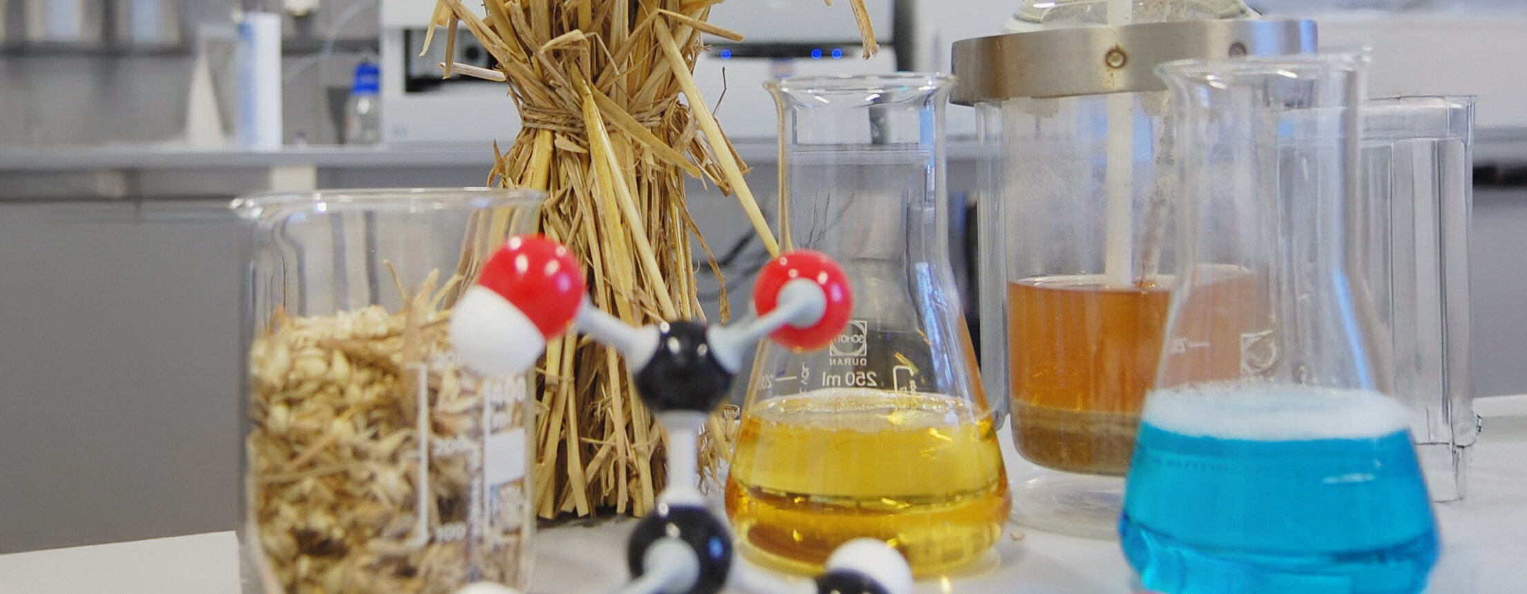 Ein Stilleben mit Glasgefäßen mit verschieden farbigen Flüssigkeiten und gehäckselten Pflanzenresten, Stroh und einem Atommodell aus Plastik.