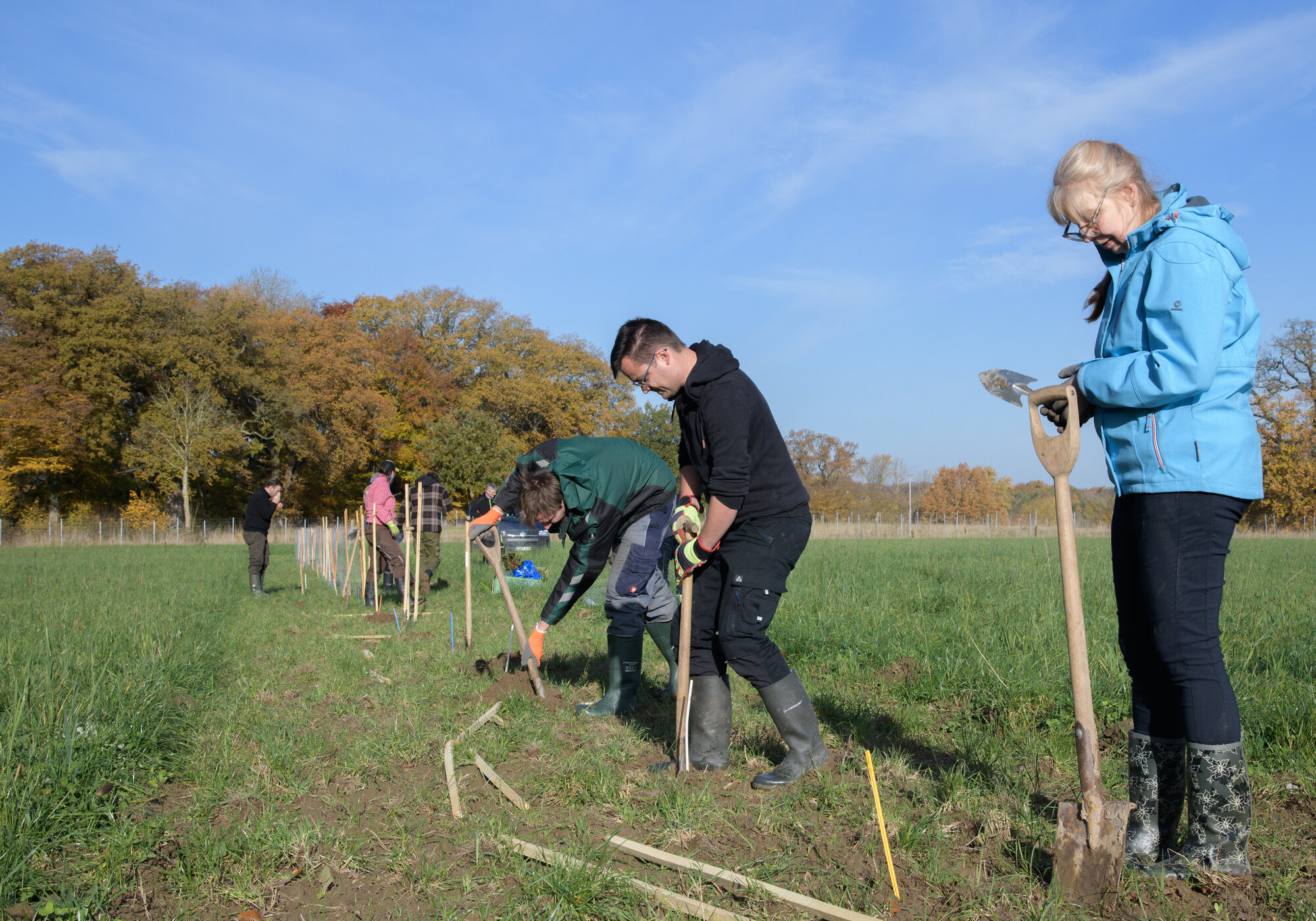 Auch EiLT-Koordinator Malte Jörn Krafft (2. v. r.) macht bei der Pflanzaktion mit. Einige Personen graben schon einmal Löcher für die Pflanzen.