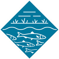 Ein paar Fische schwimmen unter einer Wasserwelle, über der Wasserwelle ist Gras gezeichnet und darüber ein paar Striche.