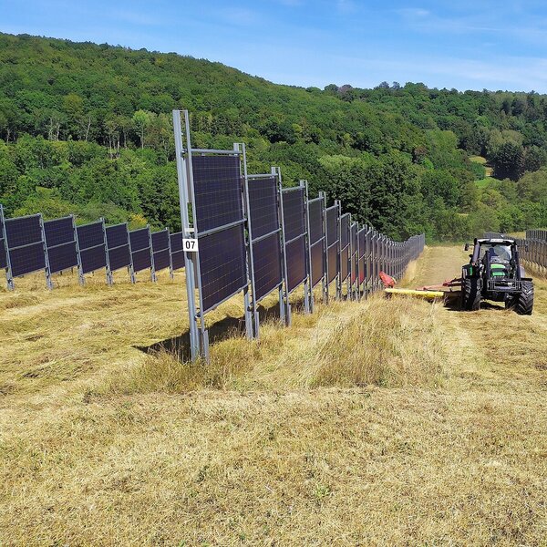 Senkrecht stehende Sonnenkollektoren mit einer Landmaschine bei Mäharbeiten