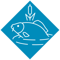 Eine gezeichnete Kachel mit einem Fisch, der aus dem Wasser schaut.