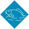 Experimentierfeld 9:Teiche und Wasser