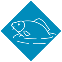 Eine gezeichnete Kachel mit einem Fisch, der aus dem Wasser schaut.
