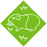 Grünland ohne Wiederkäuer Gezeichnete Kachel mit einem Meerschweinchen und ein paar Grasbüscheln.