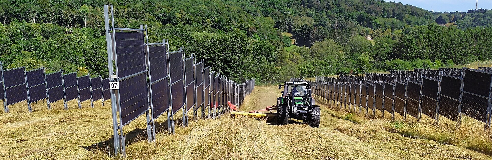 Senkrecht stehende Sonnenkollektoren mit einer Landmaschine bei Mäharbeiten