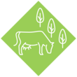 Experimentierfeld 1: Rind und Klima