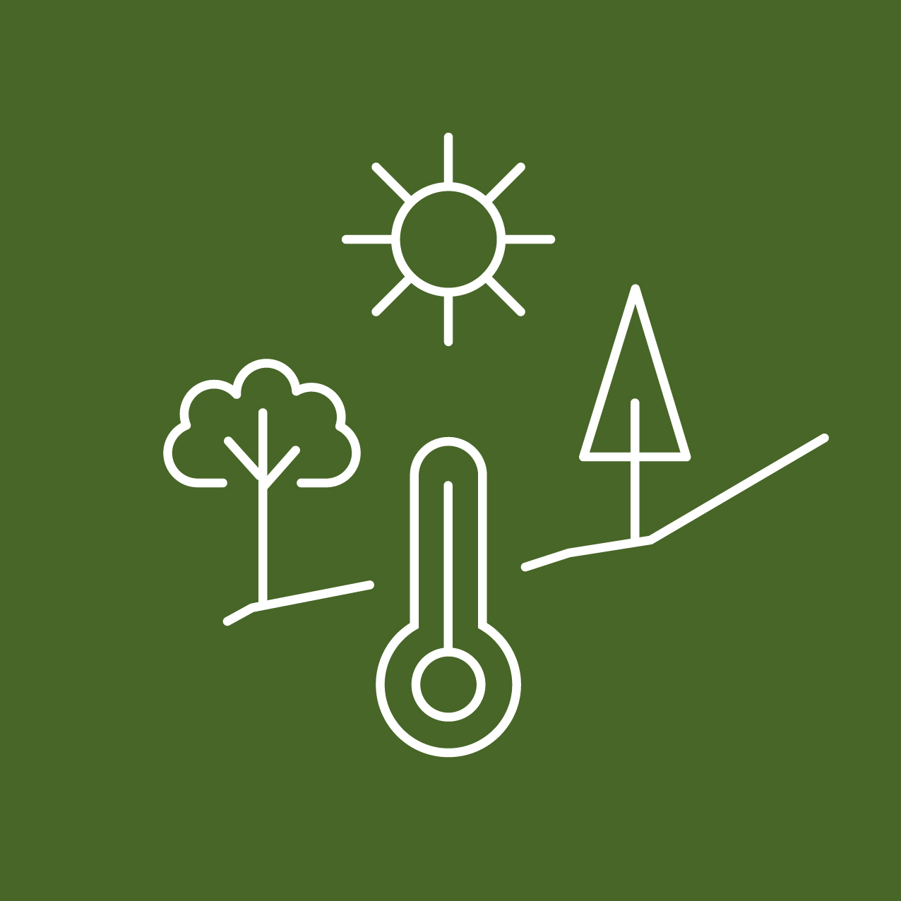 Klimaangepasste Bäume